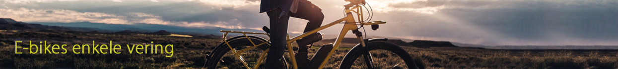 E-bikes enkele vering E-bikes enkele vering